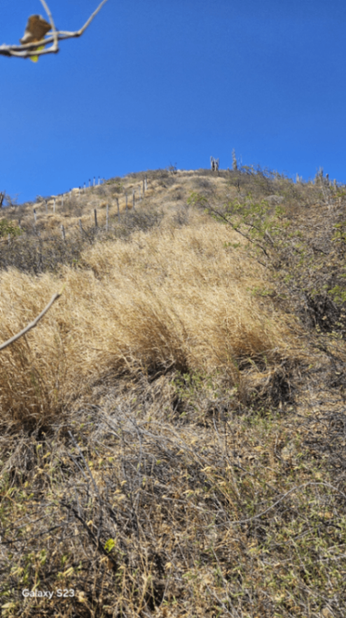 Vía Sta. Marta - Taganga, Comuna 3, Santa Marta, Magdalena, Colombia